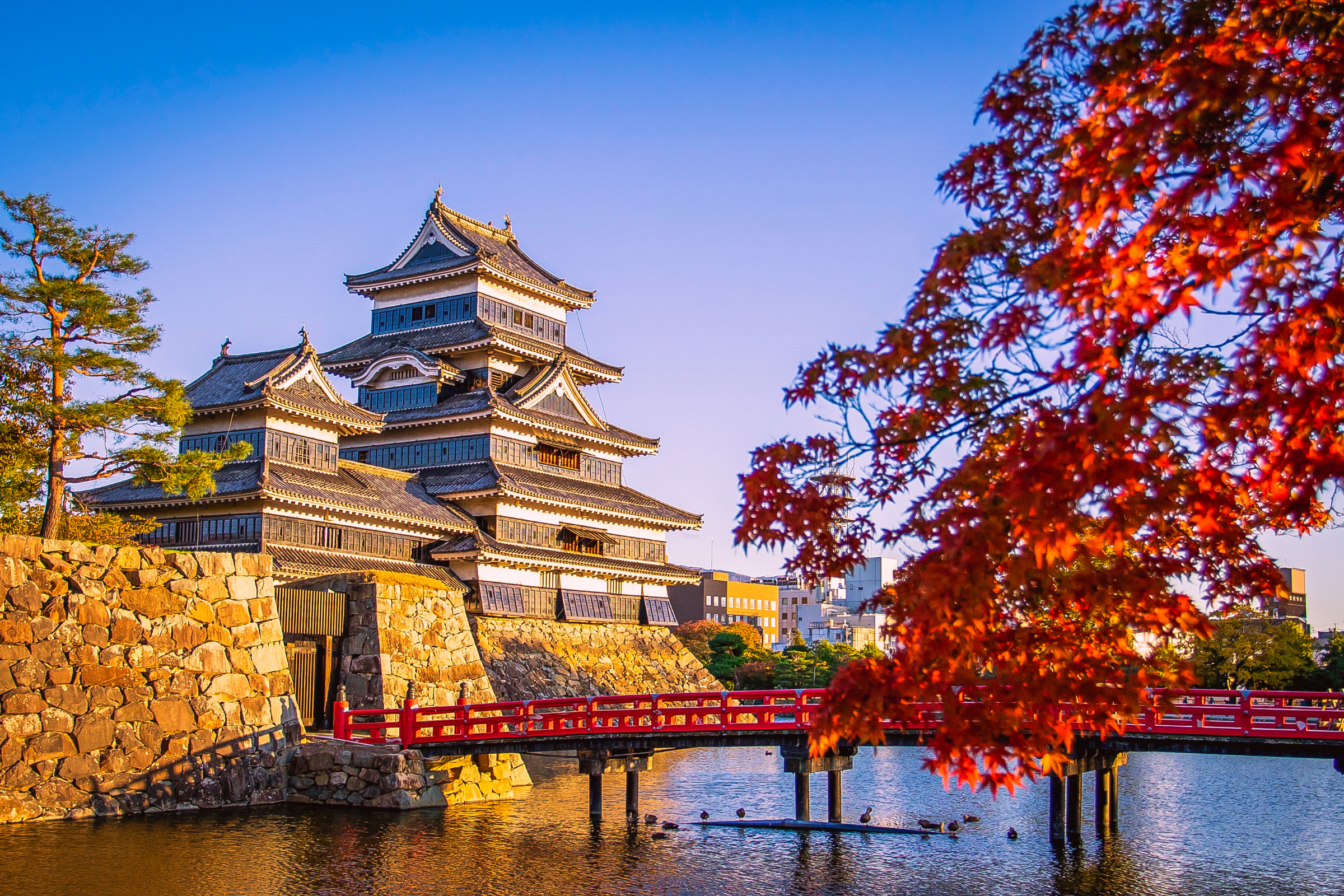 okushiri (3).webp
